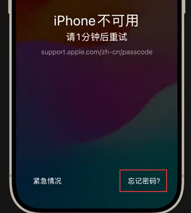 瓯海苹果手机密码维修分享iPhone忘记了刚设置的密码 